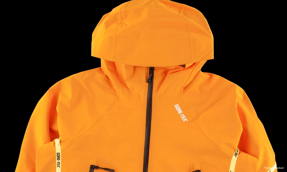 Affordable Palace Palex Jacket Gore-Tex 0818